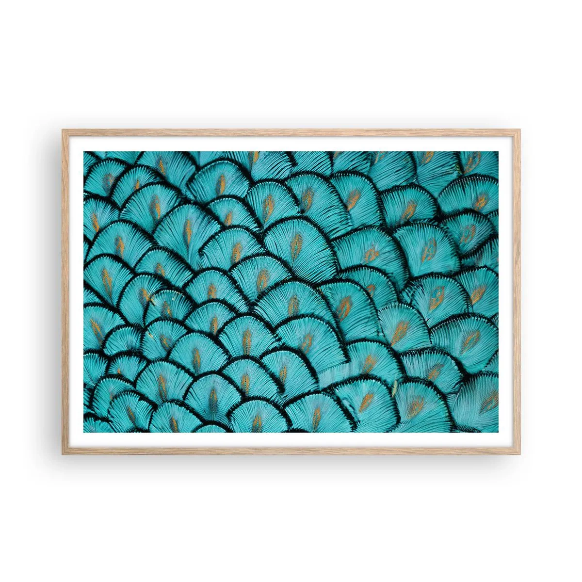 Póster en marco roble claro - La gran gala de las plumas - 100x70 cm