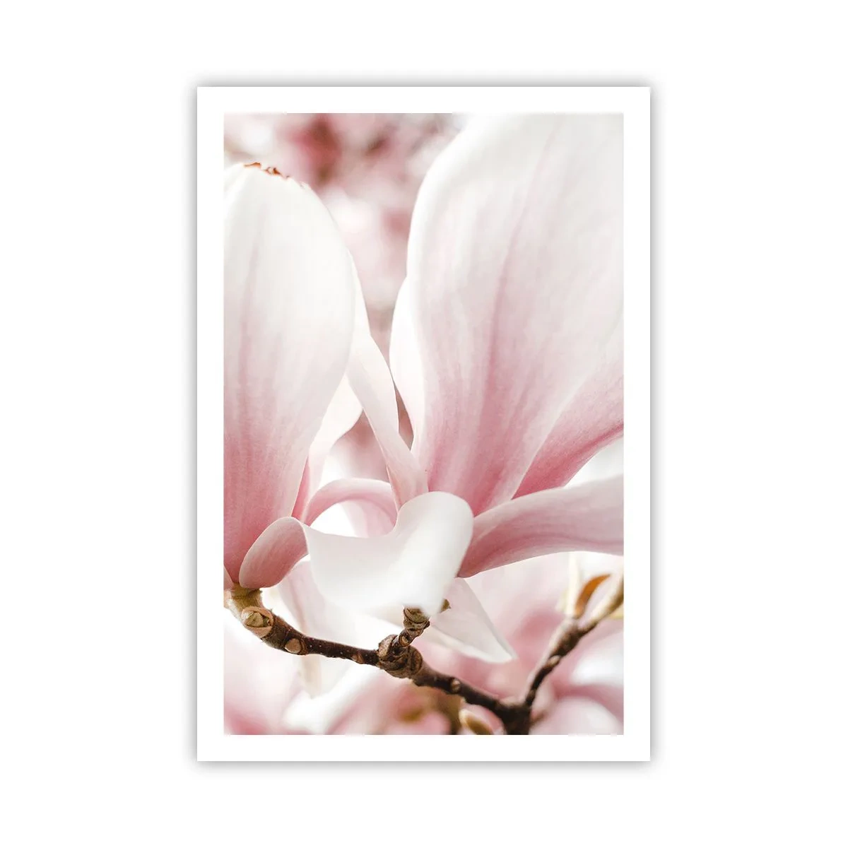 Póster - Inmensidad de la ternura - 61x91 cm