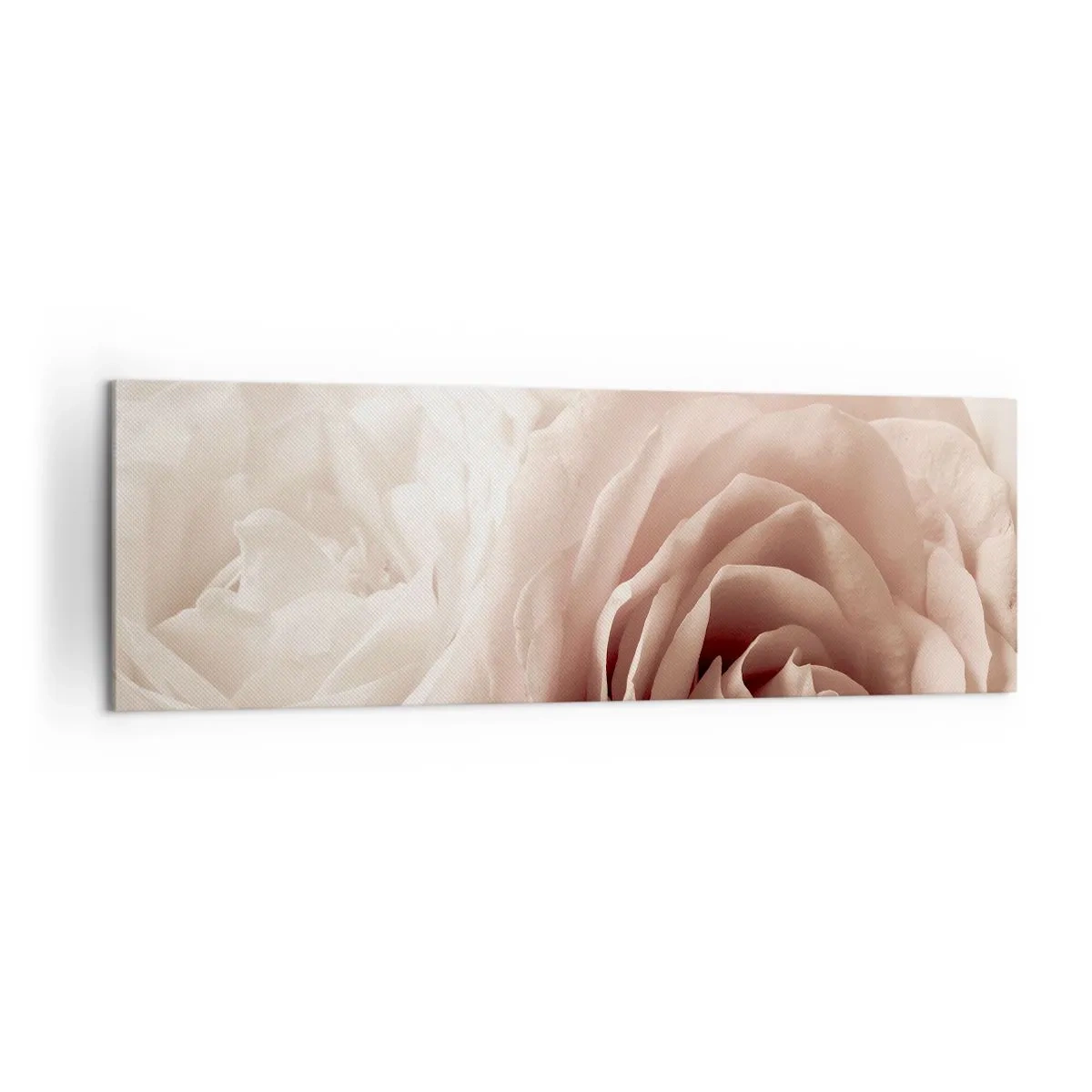 Cuadro sobre lienzo - Impresión de Imagen - Delicadas rosas en tonos pastel beige. - 160x50cm - En el corazón de una rosa - Decoración de pared moderna para salón y dormitorio ARTTOR