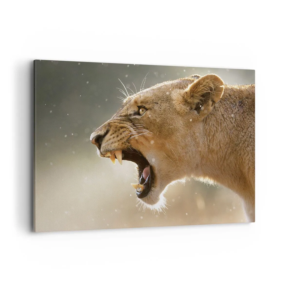Cuadro sobre lienzo - Impresión de Imagen - Retrato de una leona rugiente bajo luz natural - 100x70cm - Silencio, es mi turno de palabra - Decoración de pared moderna para salón y dormitorio ARTTOR