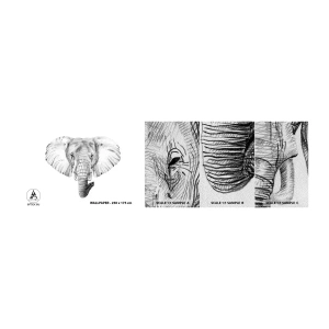 Muestra de fotomural Premium Sand - Érase una vez un elefante... - animales, Elefante, Gráficos - 100x30 cm