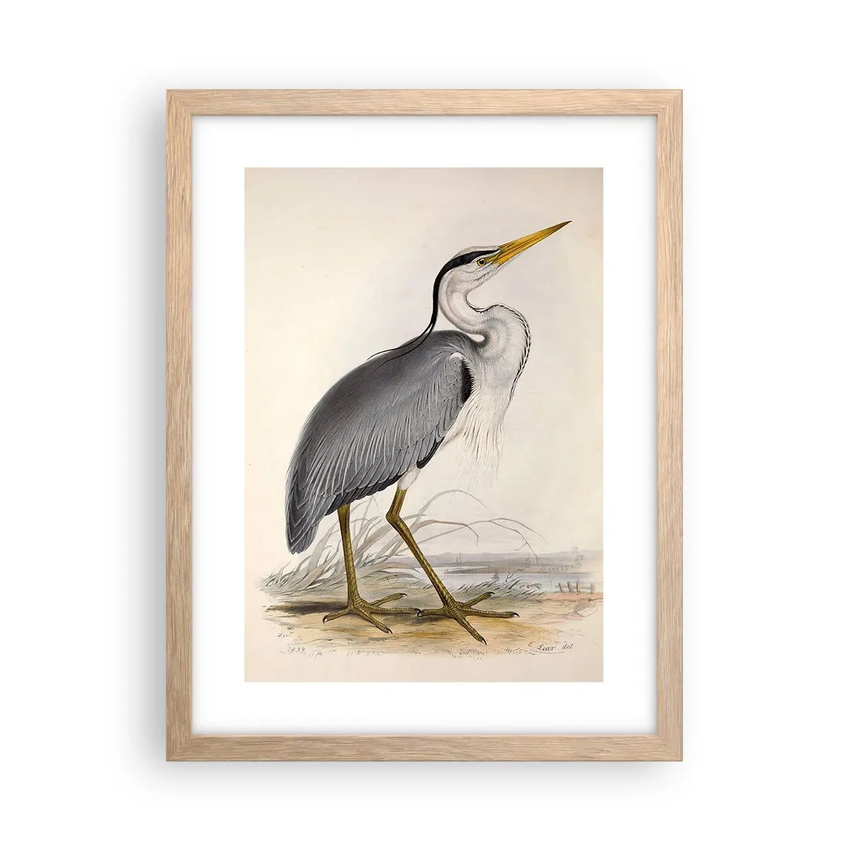 Póster en marco roble claro - Encanto de garza - 30x40 cm