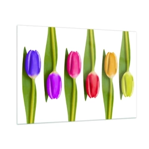 Cuadro sobre vidrio - Impresiones sobre Vidrio - Tulipanes coloridos dispuestos sobre un fondo blanco. - 100x70cm - Composición del arco iris - Decoración de pared moderna para salón y dormitorio ARTTOR