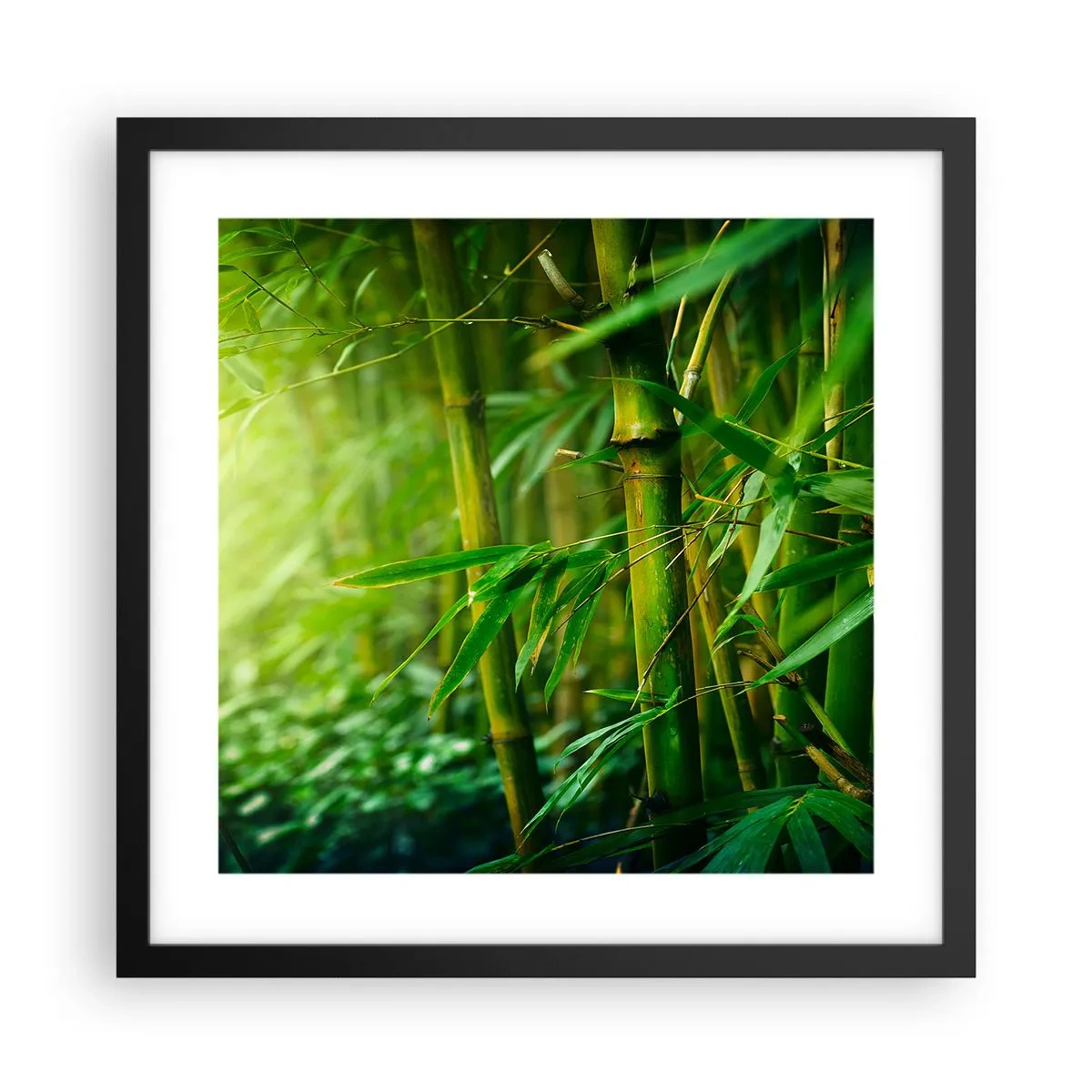 Póster en marco negro - Conocer el propio verdor - 40x40 cm