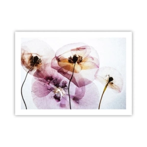 Póster - Cuerpo de flor - 70x50 cm