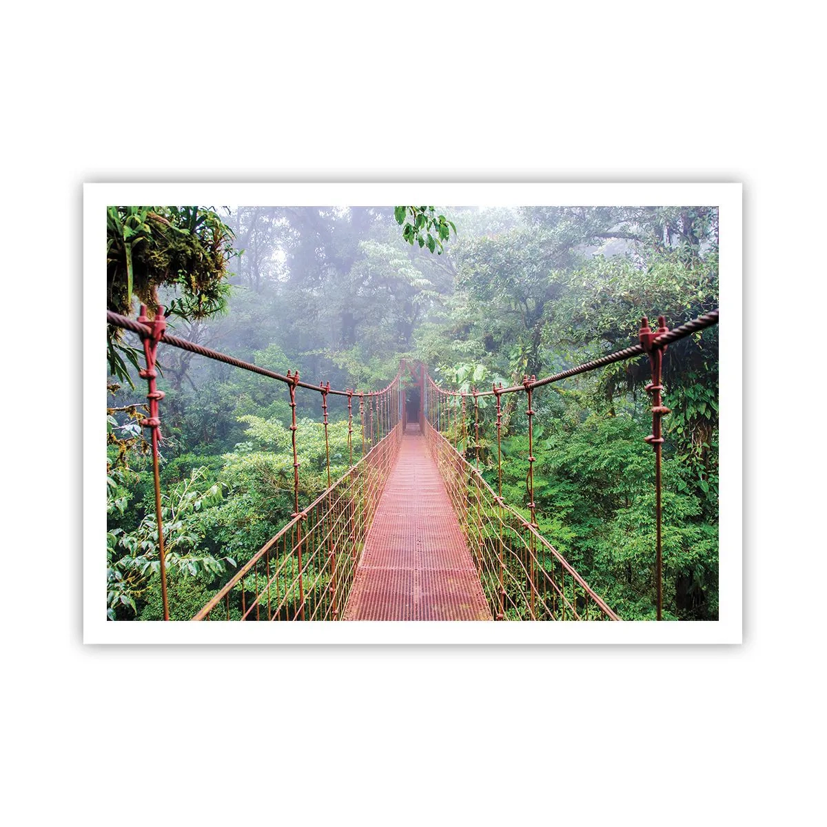 Póster - Un puente colgante en una selva tropical rodeado de niebla. - 100x70cm - Suspendido sobre las copas - Decoración de pared moderna para salón y dormitorio ARTTOR