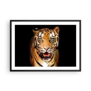 Póster en marco negro - Un tigre con la boca abierta sobre un fondo negro. - 70x50cm - Salvaje de corazón - Decoración de pared moderna para salón y dormitorio ARTTOR