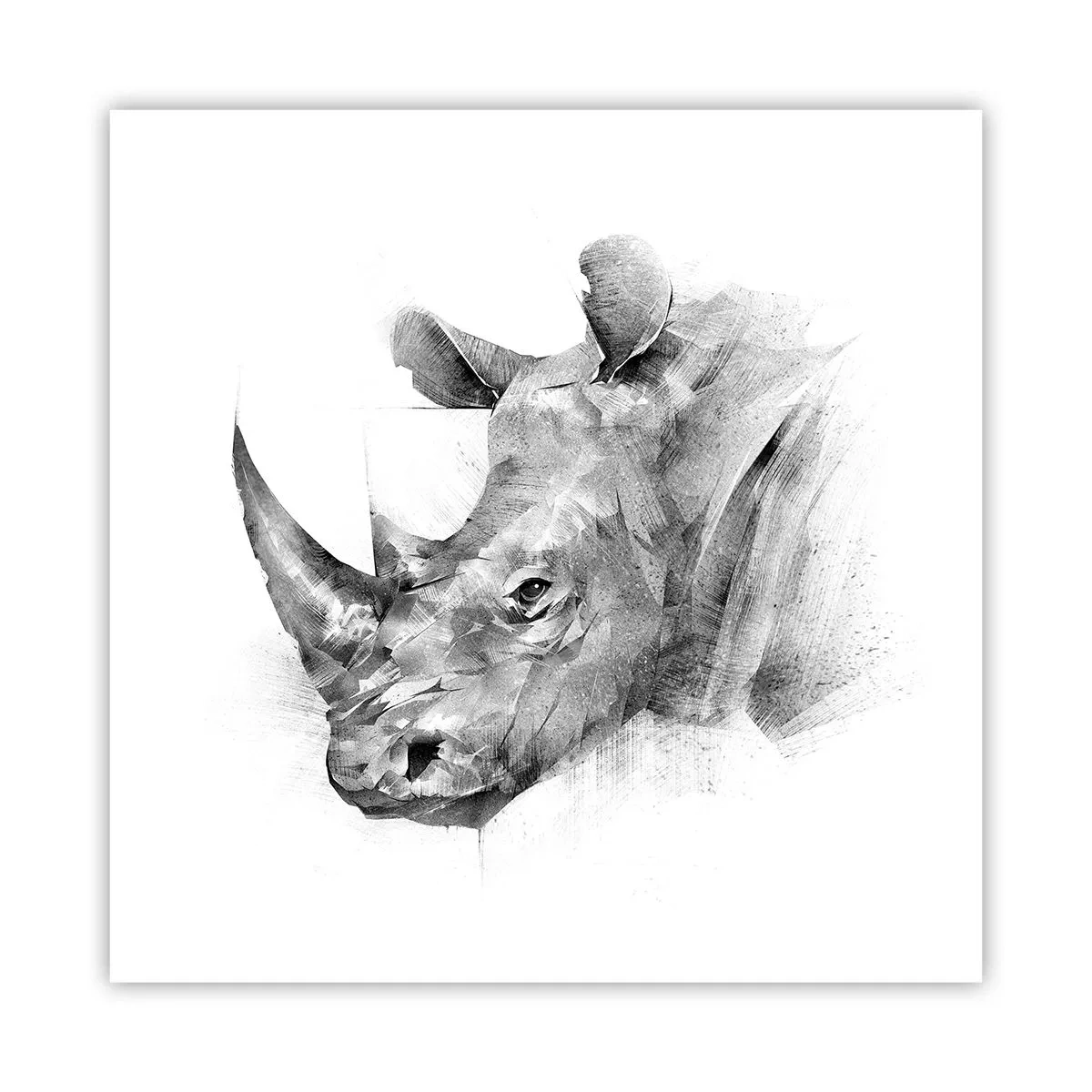 Póster - Retrato africano - 60x60 cm