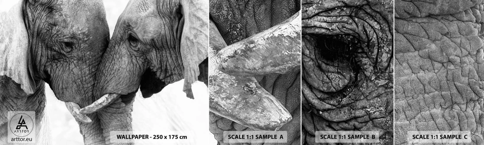 Muestra De Fotomural Standard Eco - Una confesión sincera - Elefante, animales, África - 100x30 cm