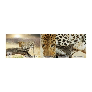 Muestra de fotomural Premium Sand - Voy por mi cuenta - animales, leopardo, África - 100x30 cm