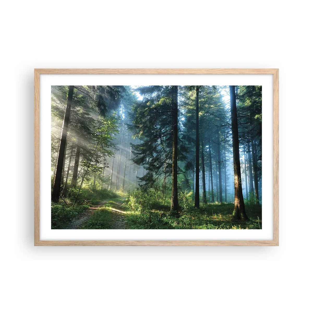 Póster en marco roble claro - Radiante por la mañana - 70x50 cm