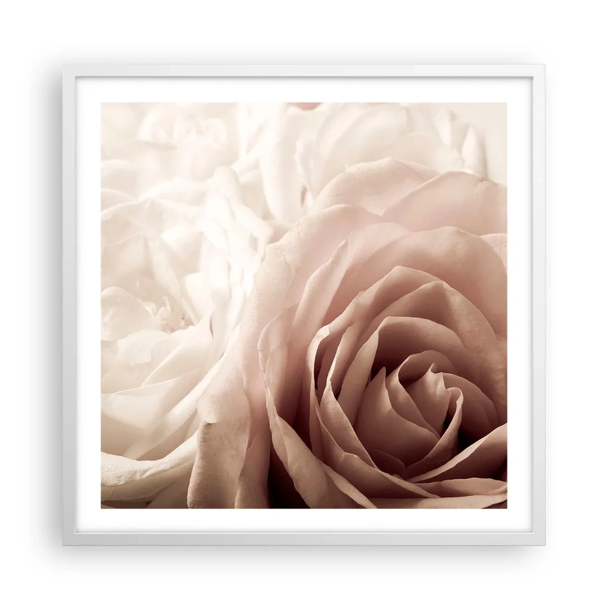 Póster en marco blanco - En el corazón de una rosa - 60x60 cm