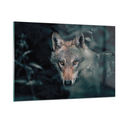 Cuadro sobre vidrio - Impresiones sobre Vidrio - Un lobo observa atentamente desde su escondite en la espesura del bosque. - 120x80cm - Cazador - Decoración de pared moderna para salón y dormitorio ARTTOR