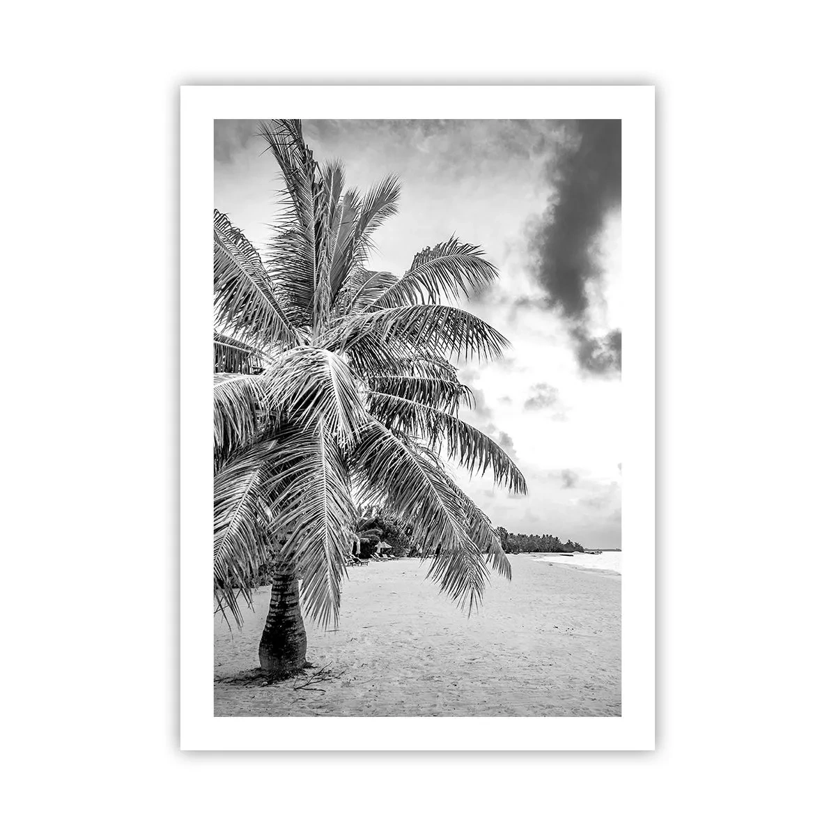 Póster - Una palmera blanca y negra en una playa vacía bajo un cielo nublado. - 50x70cm - Anhelo de soledad.... - Decoración de pared moderna para salón y dormitorio ARTTOR