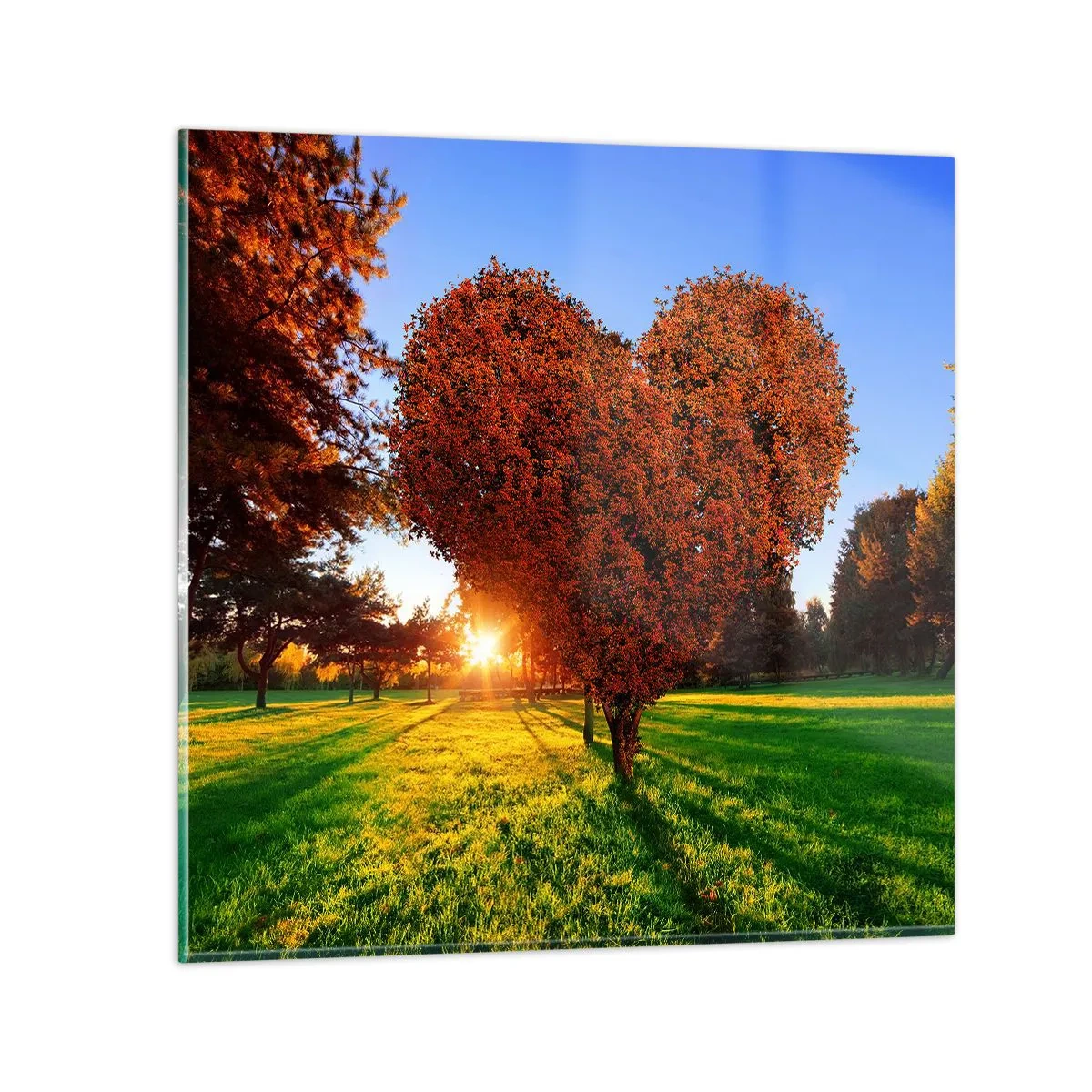 Cuadro sobre vidrio - Impresiones sobre Vidrio - Y cómo no amar el otoño - 30x30 cm