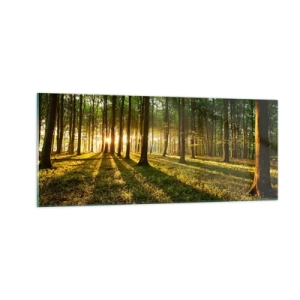 Cuadro sobre vidrio - Impresiones sobre Vidrio - Una fotografía de todos los manantiales - 100x40 cm