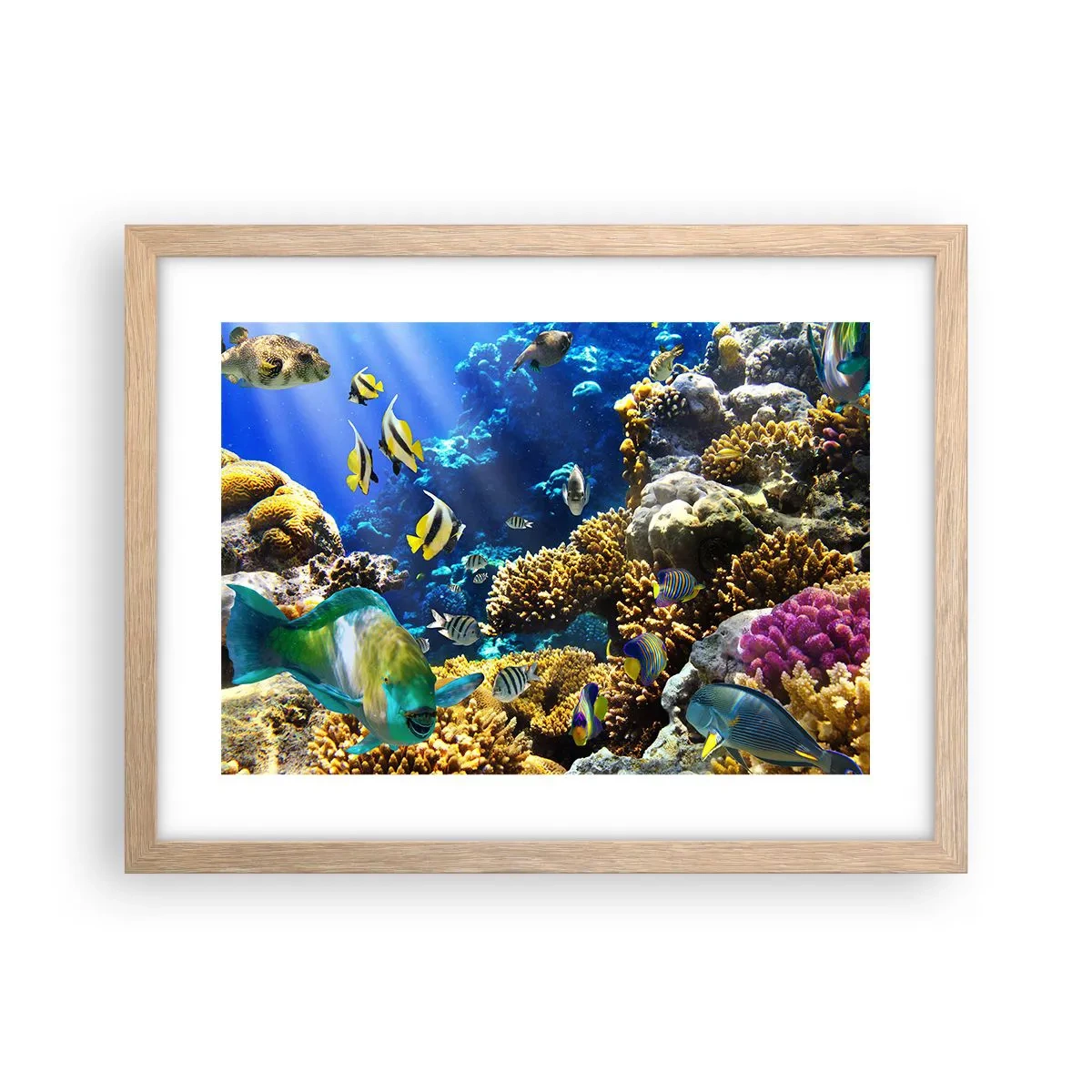 Póster en marco roble claro - Vacaciones submarinas - 40x30 cm