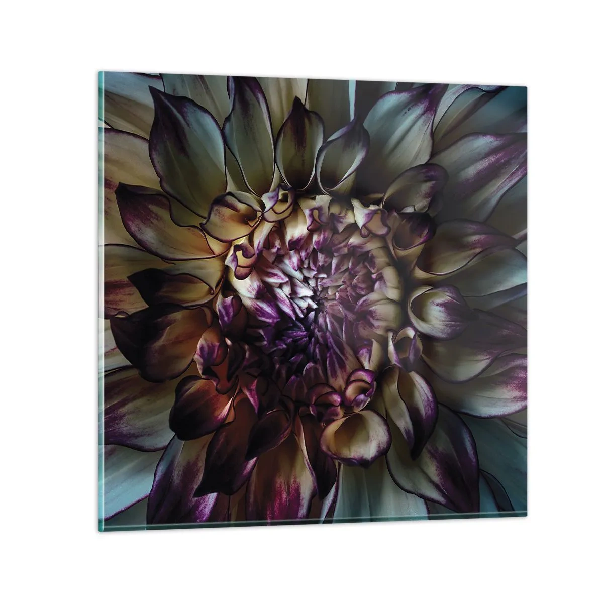Cuadro sobre vidrio - Impresiones sobre Vidrio - El florecimiento de la hermosura - 40x40 cm