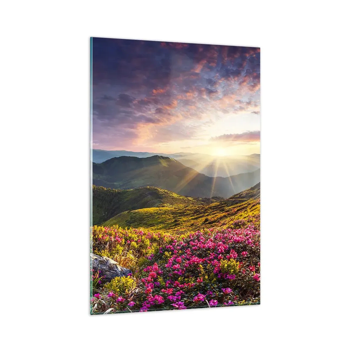 Cuadro sobre vidrio - Impresiones sobre Vidrio - Paisaje de montaña con rododendros en flor - 80x120cm - La frescura de una mañana de montaña - Decoración de pared moderna para salón y dormitorio ARTTOR