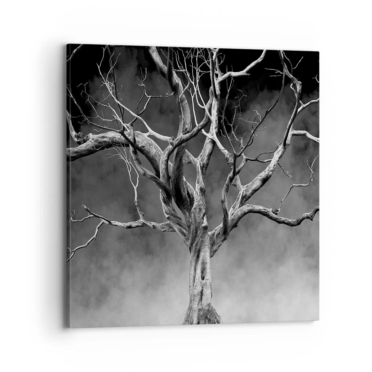 Cuadro sobre lienzo - Impresión de Imagen - Primordial y sagrado - 70x70 cm