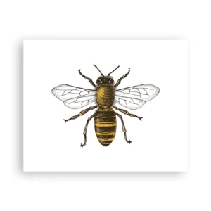 Póster - Bondad natural - 50x40 cm