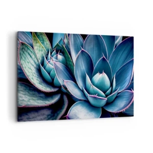 Cuadro sobre lienzo - Impresión de Imagen - Agave en tonos azules y verdes con acentos rosados. - 120x80cm - Fuerza vital - Decoración de pared moderna para salón y dormitorio ARTTOR