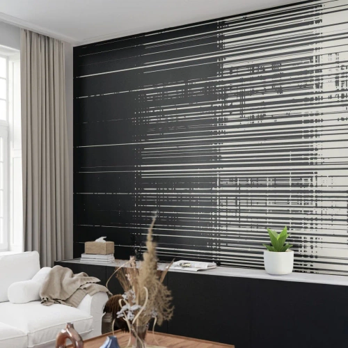 Fotomural Premium Canvas - Ondas y vibraciones - En blanco y negro, Códigos de barras, Líneas - 350x256 cm