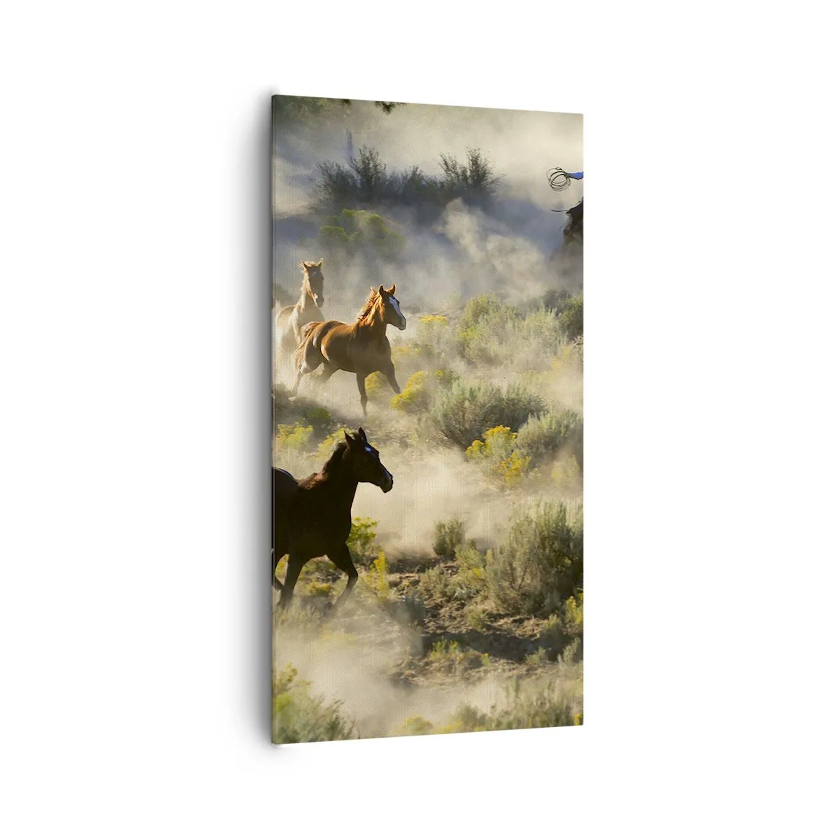 Cuadro sobre lienzo - Impresión de Imagen - Rivalidad: ¿libertad o fuerza? - 65x120 cm