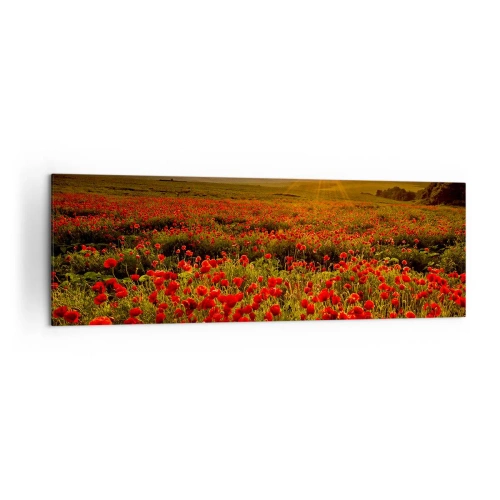 Cuadro sobre lienzo - Impresión de Imagen - Un campo de amapolas rojas bajo el resplandor del sol poniente. - 160x50cm - Entre los campos de flores - Decoración de pared moderna para salón y dormitorio ARTTOR