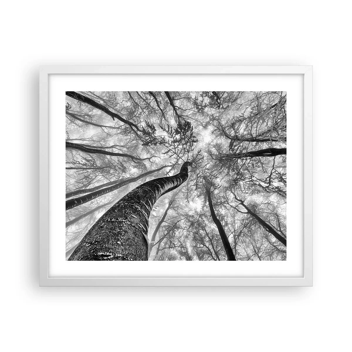 Póster en marco blanco - Carrera hacia la luz - 50x40 cm