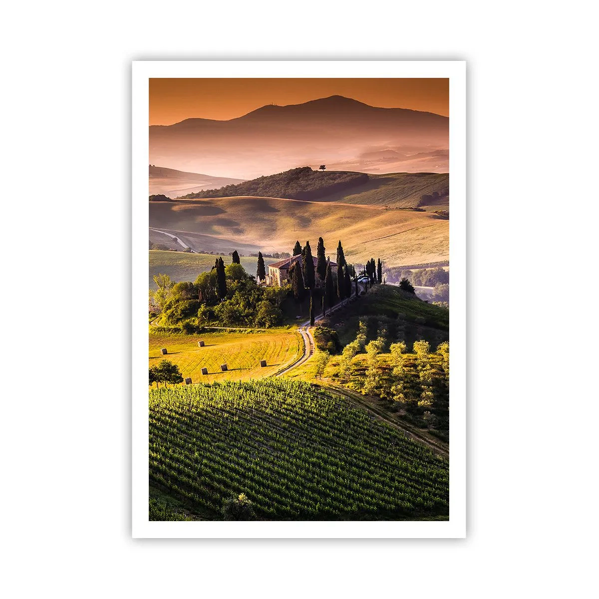 Póster - Paisaje toscano - 70x100 cm
