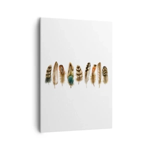 Cuadro sobre lienzo - Impresión de Imagen - Motivo decorativo de una colección de varias plumas. - 50x70cm - Estudio de plumas - Decoración de pared moderna para salón y dormitorio ARTTOR