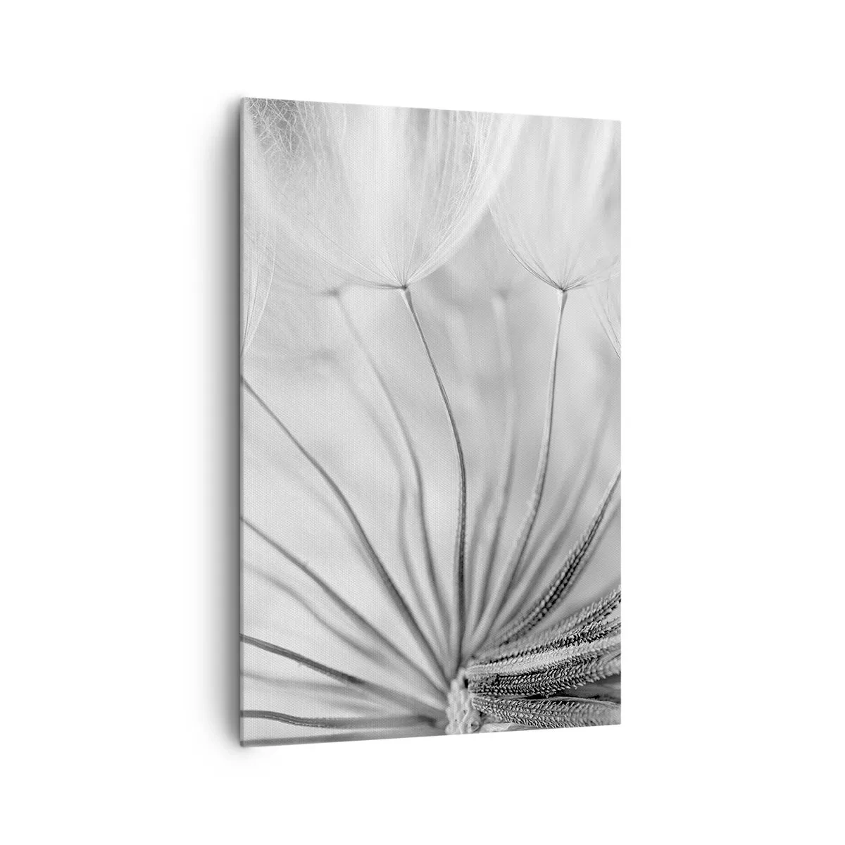 Cuadro sobre lienzo - Impresión de Imagen - Delicados dientes de león en tonos blanco y negro. - 80x120cm - Caricias del viento - Decoración de pared moderna para salón y dormitorio ARTTOR