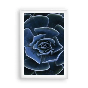 Póster en marco blanco - Flor del desierto - 61x91 cm