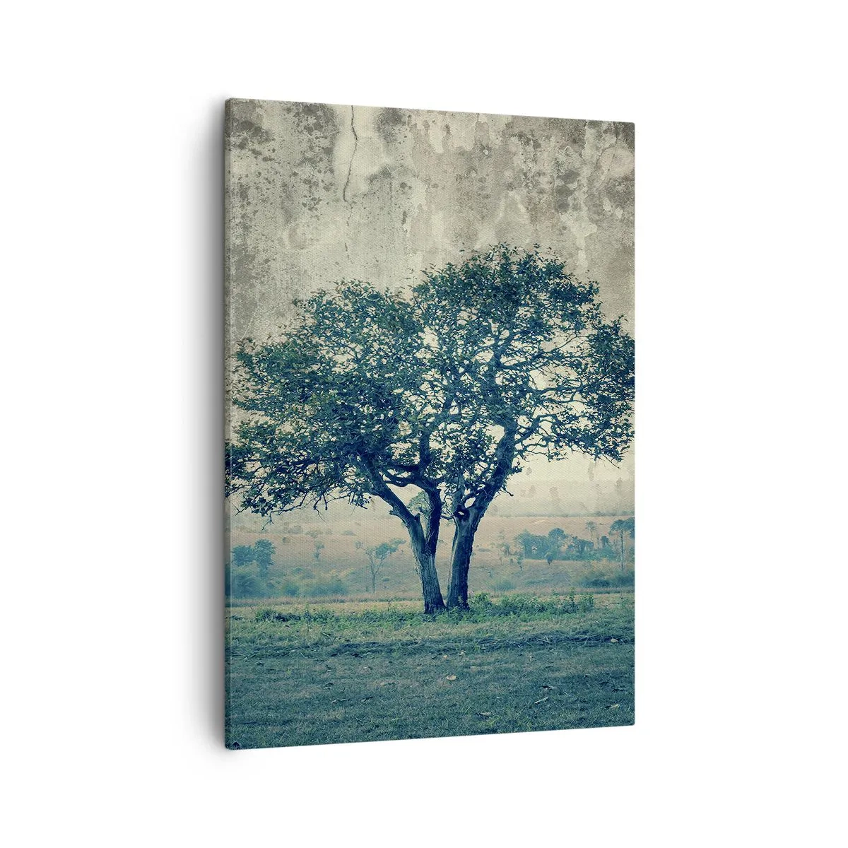 Cuadro sobre lienzo - Impresión de Imagen - Un árbol solitario contra un paisaje brumoso. - 50x70cm - El manzano - Decoración de pared moderna para salón y dormitorio ARTTOR