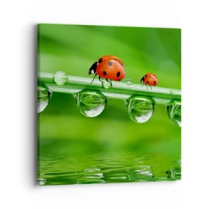 Cuadro sobre lienzo - Impresión de Imagen - En el camino todo el verano - 40x40 cm