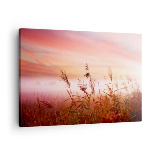 Cuadro sobre lienzo - Impresión de Imagen - Un campo de hierba con el telón de fondo de una pintoresca puesta de sol. - 70x50cm - El arte del viento - Decoración de pared moderna para salón y dormitorio ARTTOR