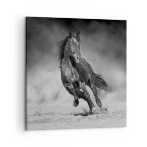 Cuadro sobre lienzo - Impresión de Imagen - Digno del propio emir - 50x50 cm