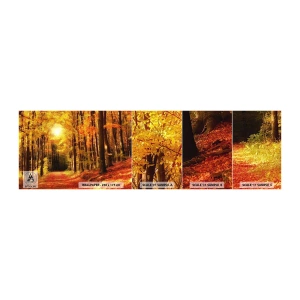 Muestra de fotomural autoadhesivo Deluxe Sticker - Un otoño dorado en una carretera forestal - Otoño, Bosque, Paisaje - 100x30 cm