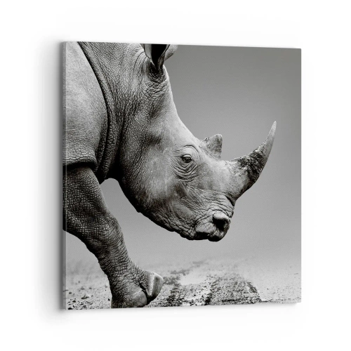 Cuadro sobre lienzo - Impresión de Imagen - Fuerza imparable - 70x70 cm