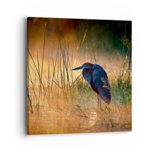 Cuadro sobre lienzo - Impresión de Imagen - Dame un respiro con estas fotos - 40x40 cm