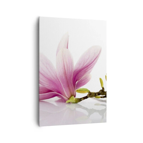 Cuadro sobre lienzo - Impresión de Imagen - Delicadas magnolias rosas sobre un fondo blanco. - 70x100cm - Suave como un soplo de primavera - Decoración de pared moderna para salón y dormitorio ARTTOR