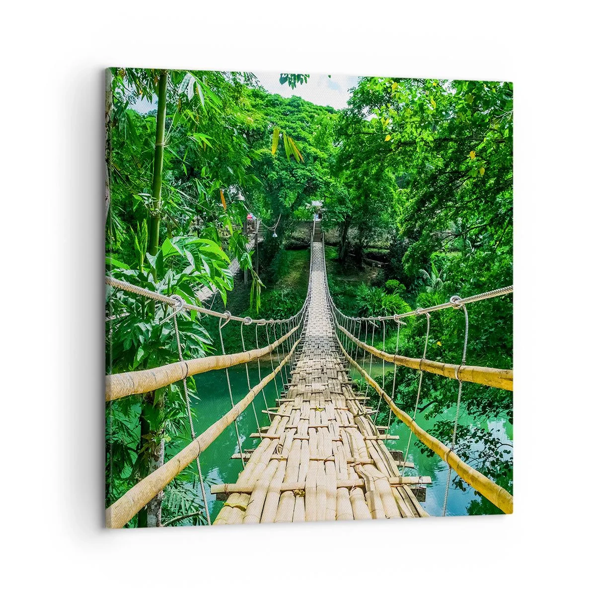 Cuadro sobre lienzo - Impresión de Imagen - Puente colgante sobre la vegetación - 50x50 cm