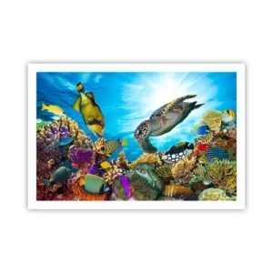 Póster - Paseo del coral - 91x61 cm