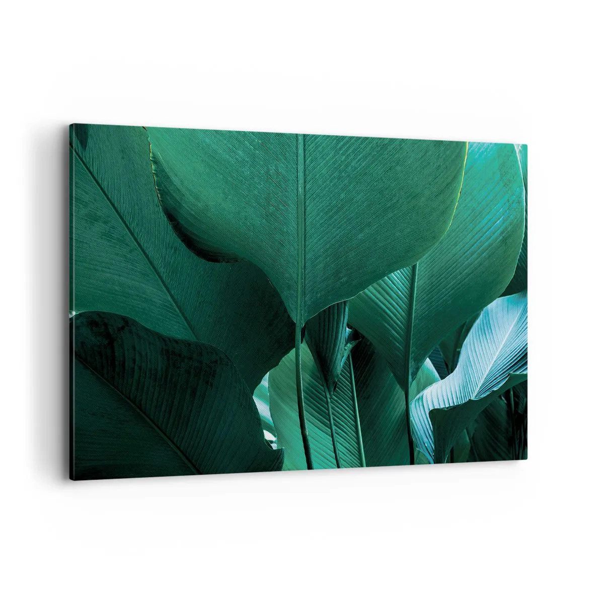 Cuadro sobre lienzo - Impresión de Imagen - Hojas verdes en una composición minimalista. - 100x70cm - De cara a la luz - Decoración de pared moderna para salón y dormitorio ARTTOR