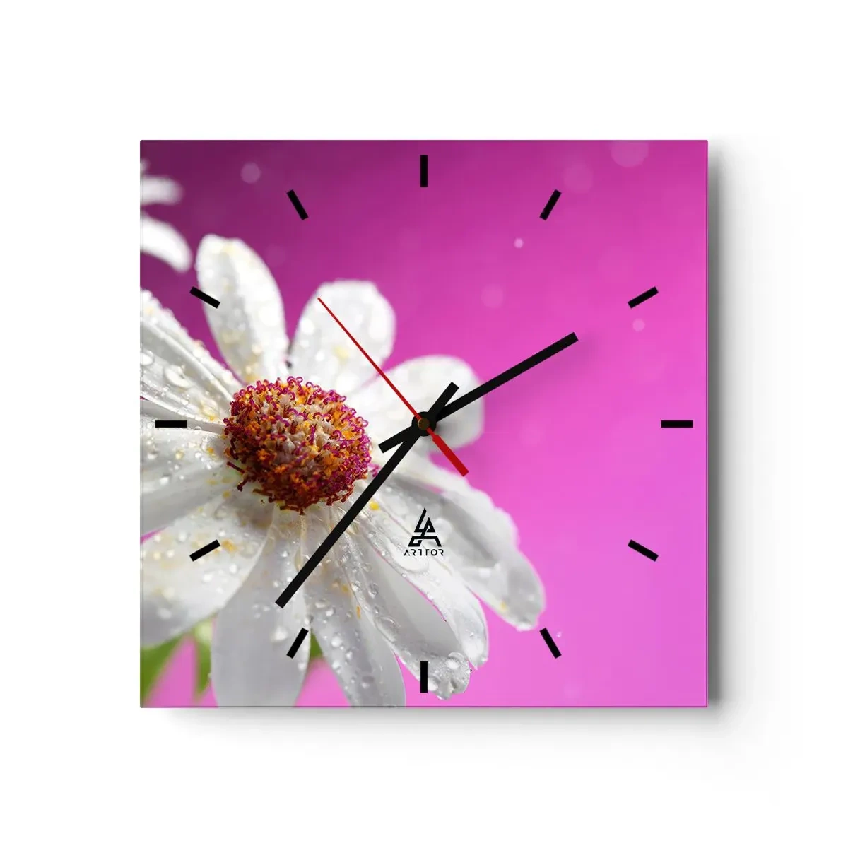 Reloj de pared - Reloj de vidrio - Una margarita blanca cubierta de gotas de agua sobre un fondo rosa. - 30x30cm - Modesto en su belleza - Decoración de pared moderna para salón y dormitorio ARTTOR