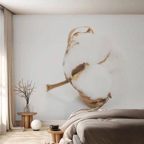 Fotomural Premium Sand - Una delicada ramita de algodón sobre un fondo blanco. - 100x70cm - Suave por naturaleza - Decoración de pared moderna para salón y dormitorio ARTTOR