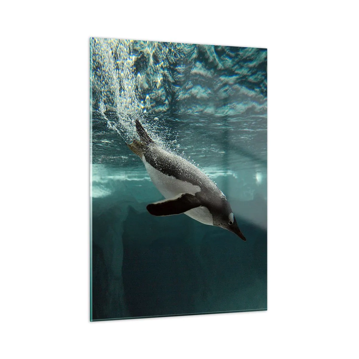 Cuadro sobre vidrio - Impresiones sobre Vidrio - Pingüino bajo el agua - 50x70cm - Bienvenido a mi mundo - Decoración de pared moderna para salón y dormitorio ARTTOR
