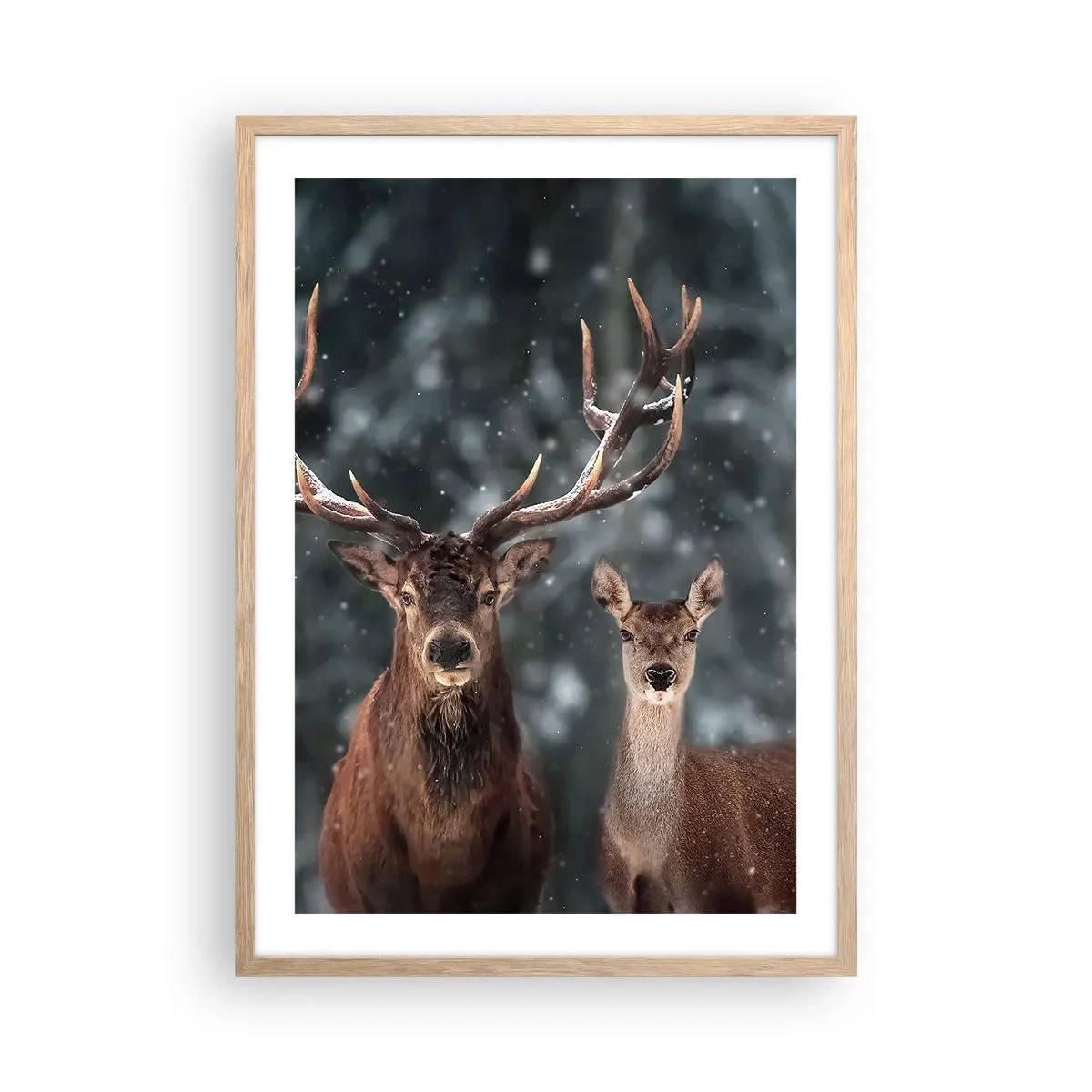 Póster en marco roble claro - El señor y la señora del bosque - 50x70 cm