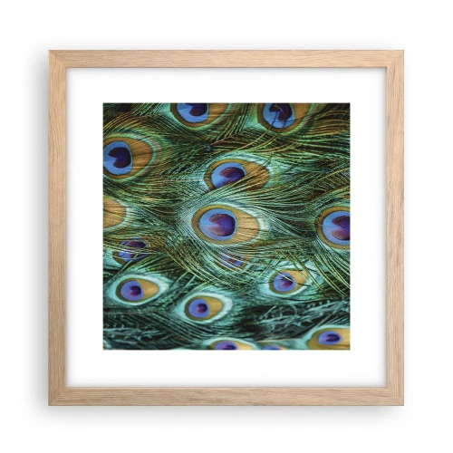 Póster en marco roble claro - Mirada de pavo real - 30x30 cm